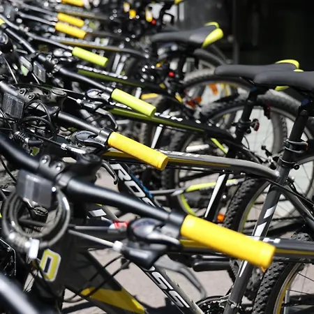 بيت شباب Spinut