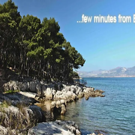 Spinut بيت شباب